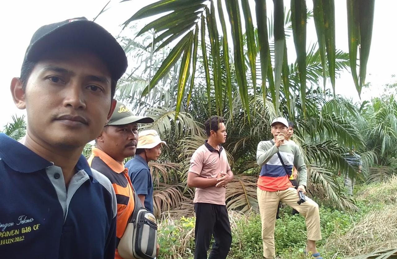 Kementan Dorong Sinergi Produktivitas Dan Pengembangan Produktivitas ...