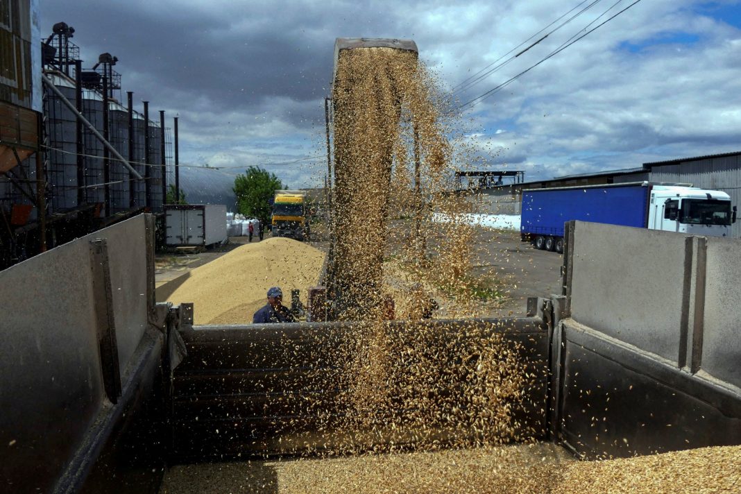 Seorang pekerja memuat truk dengan biji-bijian di terminal selama panen jelai di wilayah Odesa, Ukraina, 23 Juni 2022. (Foto Reuters)