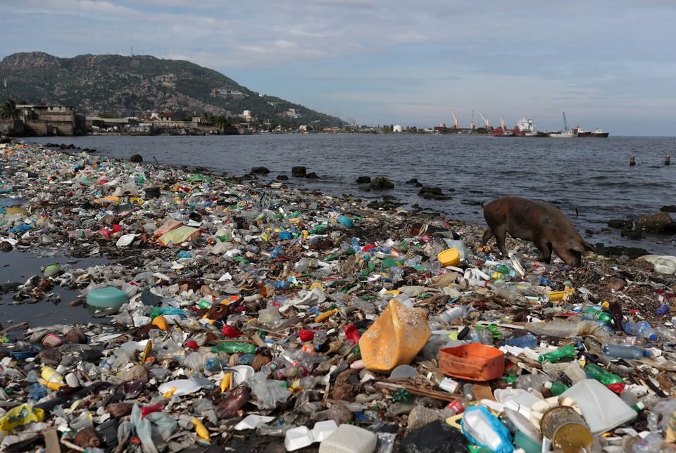 polusi plastik laut