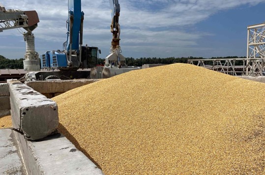Tumpukan biji jagung di dermaga di Pelabuhan Laut Izmail, wilayah Odesa, Ukraina, 22 Juli 2023. (AFP Photo)