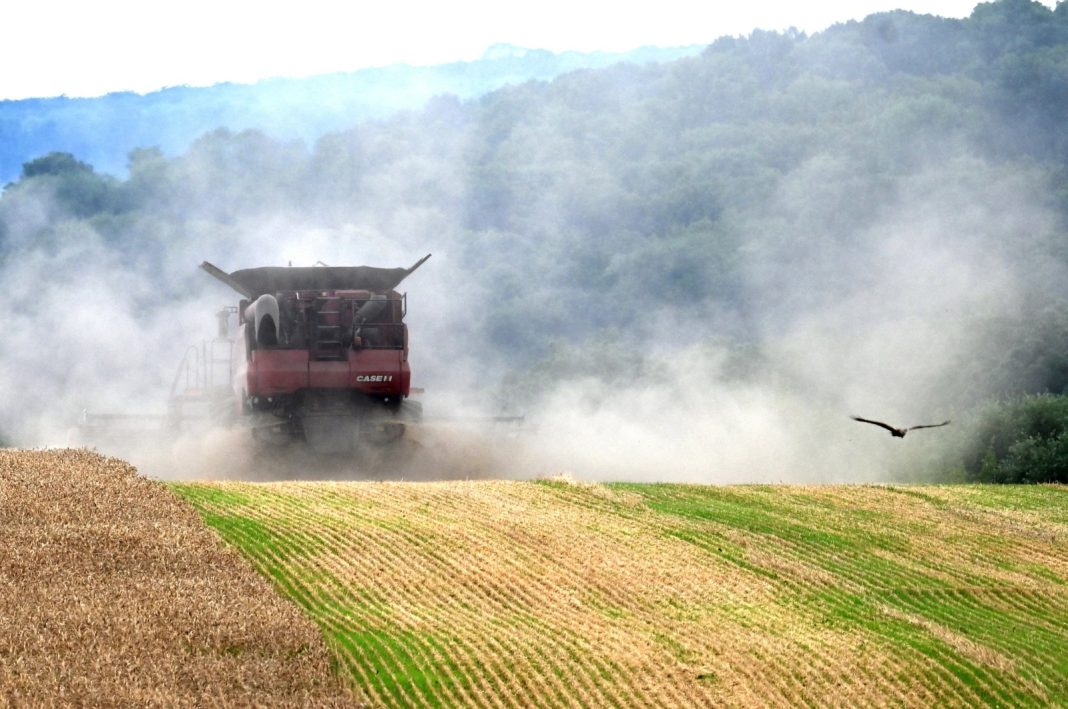 Sebuah gabungan memanen gandum di ladang dekat desa Kivshovata, wilayah Kyiv, Ukraina, 18 Juli 2023. (Foto: AFP)