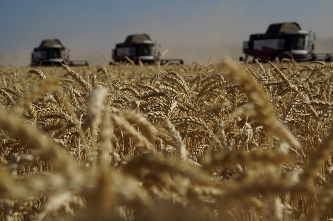 Petani memanen gandum di wilayah Rostov Rusia selatan, 7 Juli 2022. (AFP Photo)