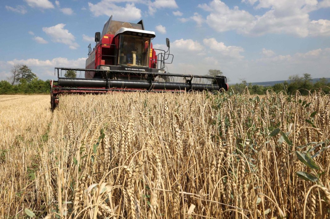 Sebuah gabungan memanen gandum di dekat Kramatorsk, di wilayah Donetsk, Ukraina, 4 Agustus 2023. (AFP Photo)
