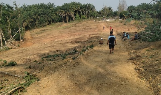 Kolaborasi Petani dan Penyuluh Kabupaten Merangin, Jambi dalam Pembukaan Lahan Pertanian