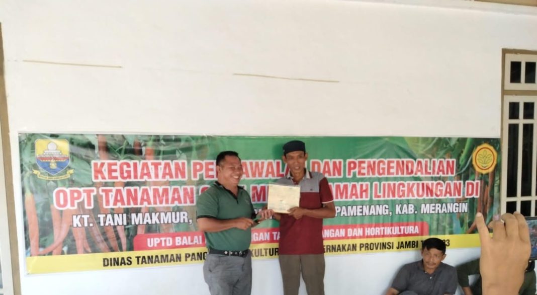 Kementan Lakukan Pengendalian OPT Tanaman Cabai Ramah Lingkungan di Kabupaten Merangin