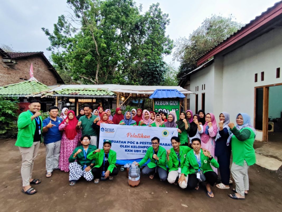 Kelompok 14 KKN UBY 2023 Gelar Pelatihan Pembuatan POC dan Pestisida Nabati di Kebun Gizi Sawi Desa Candigatak