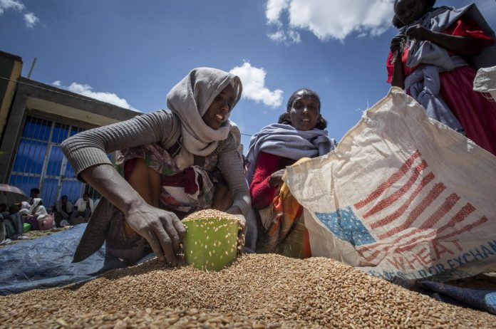 Lebih dari 860 Orang Meninggal akibat Kelaparan di Tigray Ethiopia