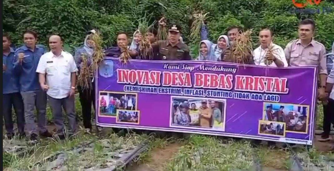 Kementan Dorong Kelompok Tani Bina Darma Kabupaten Merangin Kembangkan Bawang Merah