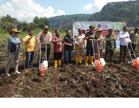 Perkuat Ketahanan Pangan, Kementan Lakukan Tanam Jagung Bersama Gempita Sumatera Barat