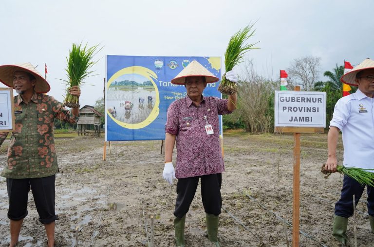 Wagub Jambi Apresiasi Sekolah Lapang Iklim (SLI) Operasional, Bantu Petani dengan Ilmu Pengetahuan