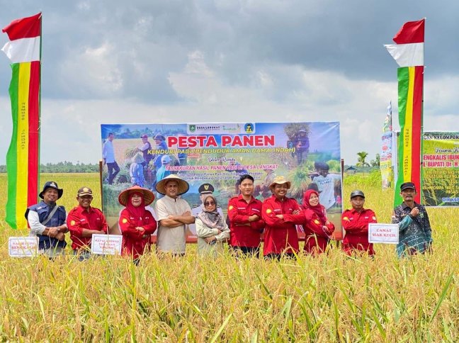 Panen Padi Melimpah Gapoktan di Bengkalis Sukses Antisipasi Darurat Pangan 