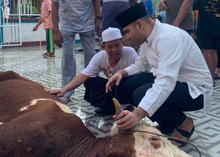 Rendra Usman Kurban Sapi Simental untuk Disembelih Warga Tanjung Jabung Barat