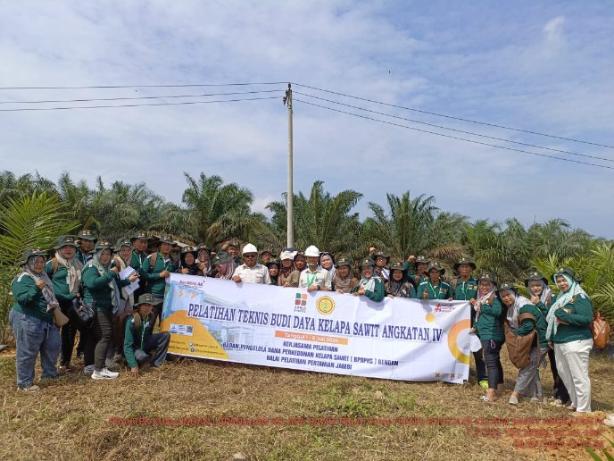 Semangat, Peserta Pelatihan BPDPKS Lakukan Kunjungan Lapang perdalam Budidaya Tanaman Kelapa Sawit