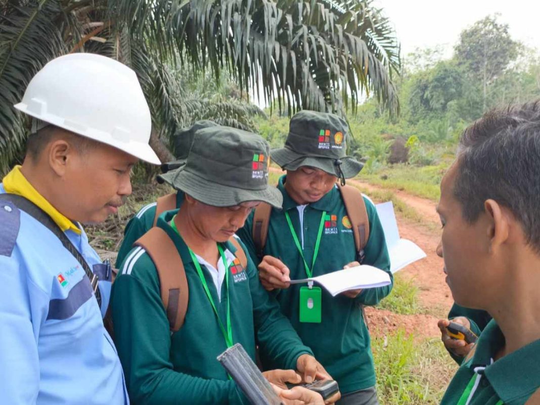 BPDPKS dan UPT Kementan di Jambi Fasilitasi Peserta Pelatihan Kunjungan Lapangan ke Perusahaan Kelapa Sawit