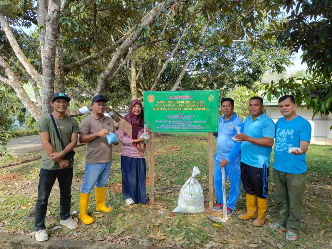 Tingkatkan Kualitas Organoleptik Durian, Widyaiswara Bapeltan Jambi Siap Lakukan Kajiwidya