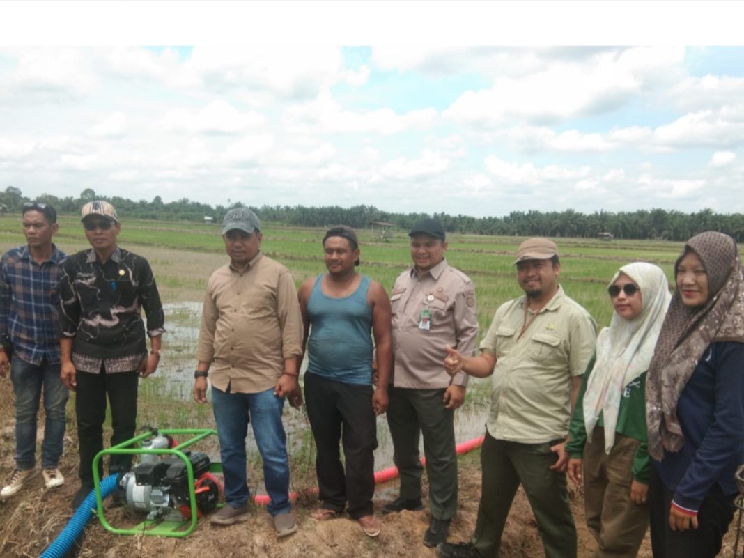 UPT Kementan di Jambi Dampingi Direktur Tanaman Pangan dan Hortikultura dalam Rangka Percepatan Areal Tanam (PAT)