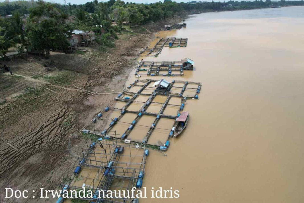 Parah! Minyak Kapal Pengangkut Batubara Tumpah di Sepanjang Keramba Ikan Masyarakat Pinggiran Sungai