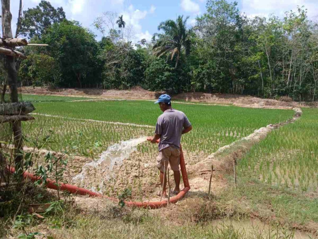 Bupati Temanggung Klarifikasi KSP Data Pompa yang Tidak Valid, Kementan Sebut Datanya Ngawur