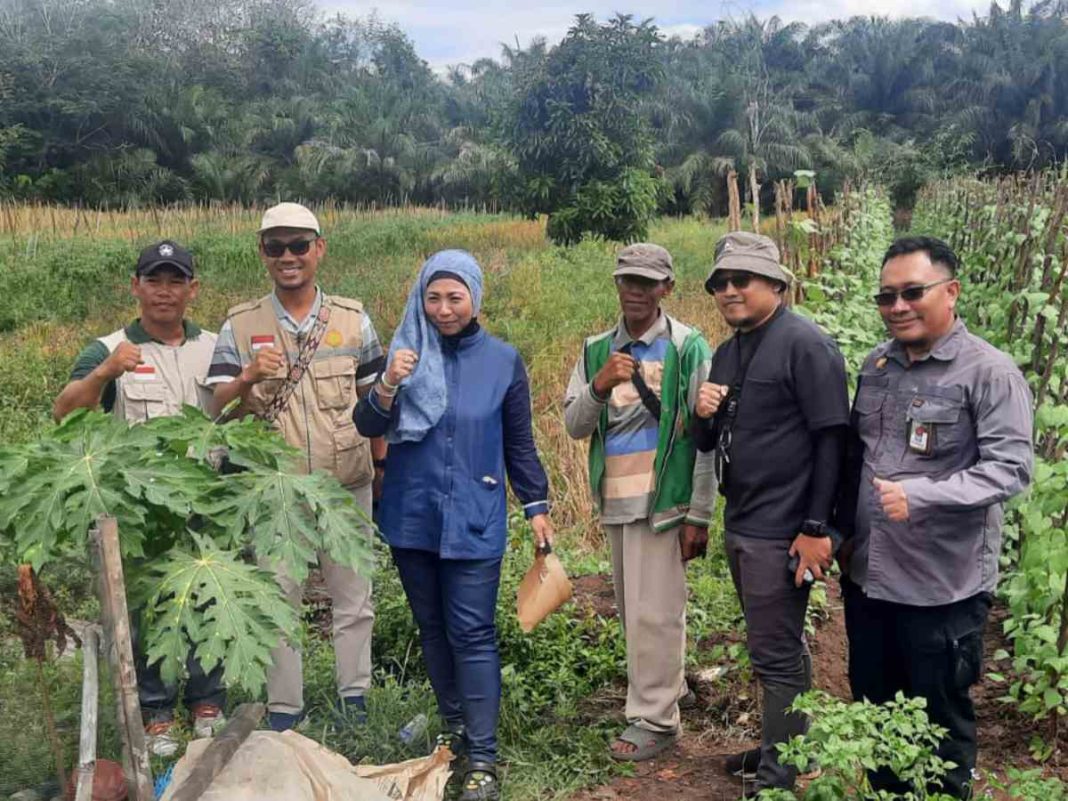 Tak Kenal Waktu Libur, Kepala BPPSDMP Temukan Solusi Perluasan Areal Tanam di Barito Kuala