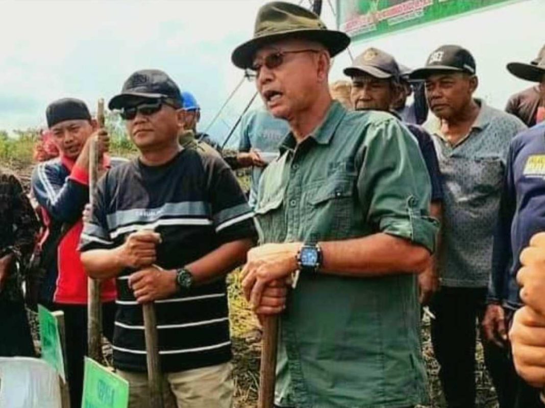 Tebo Jadi Lumbung Padi Gogo di Jambi