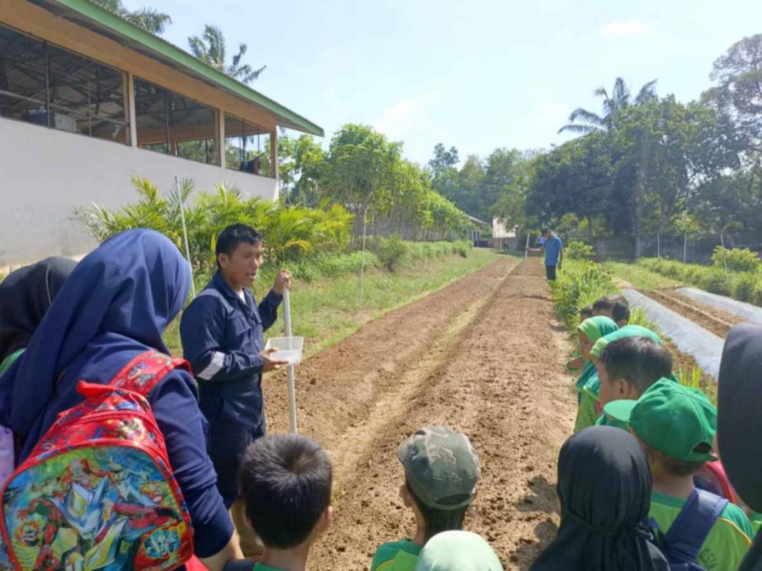 Tarik Minat Dunia Pertanian Sejak Dini, UPT Kementan di Jambi Jadi Lokasi Kunjungan Favorit 