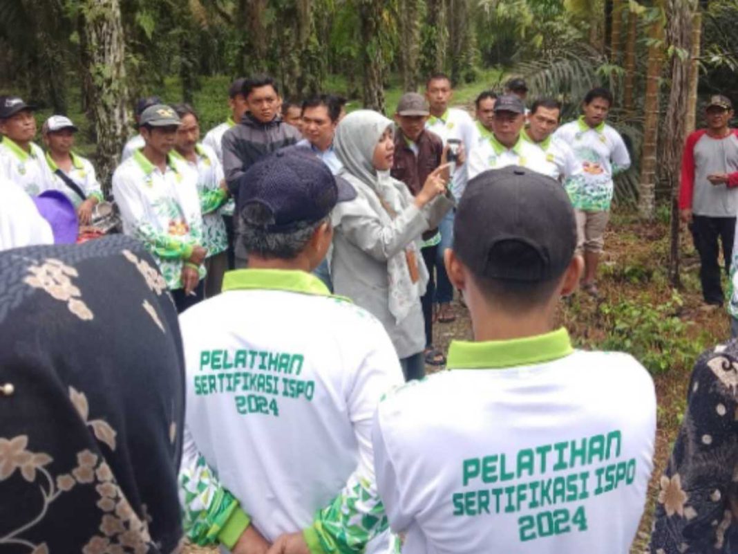 UPT Kementan Berikan Teknik Pemupukan Berimbang pada Pelatihan ISPO Sawit di Sarolangun