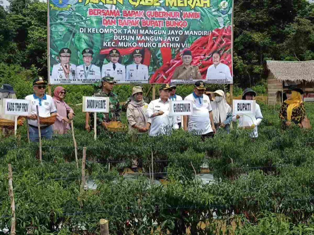 Dumisake Gubernur Al Haris Gelontorkan Rp 10,8 Miliar untuk Penguatan Pangan di Jambi