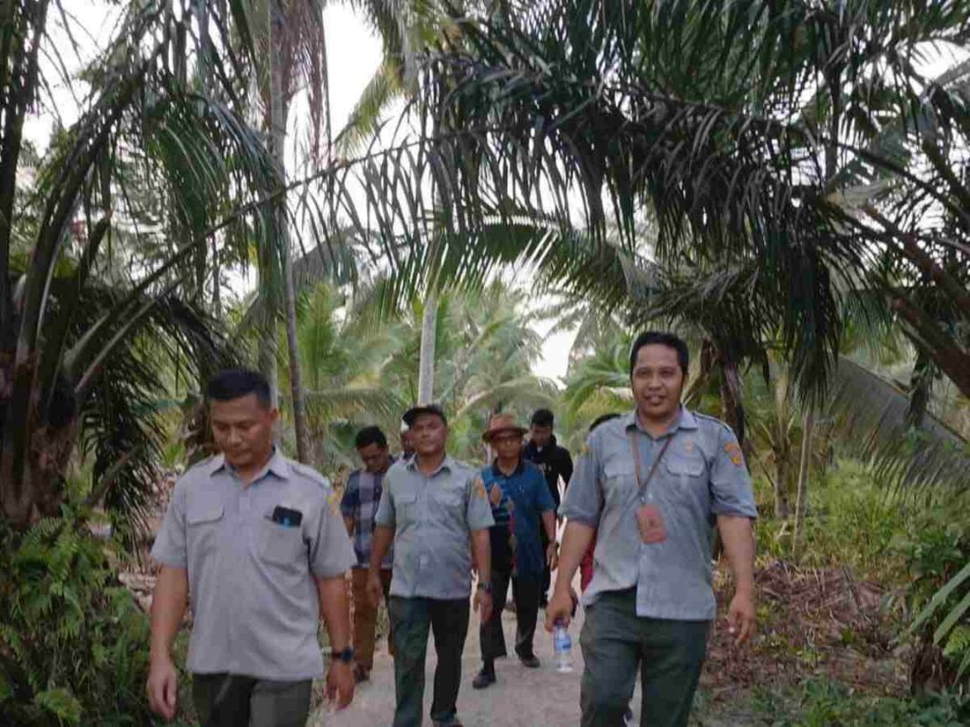 Audit Ketaatan Optimasi Lahan Rawa, Langkah Tepat Monitoring Program Strategis Kementan 