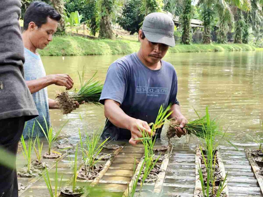 Libatkan Pusat Inkubator Agribisnis, UPT Kementan Siap Dukung Program Presiden Terpilih Mengenai Ketahanan Pangan