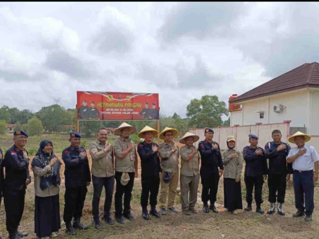 UPT Kementan Tanam Jagung Bersama Satbrimob Polda Jambi Guna Perkuat Ketahanan Pangan Nasional