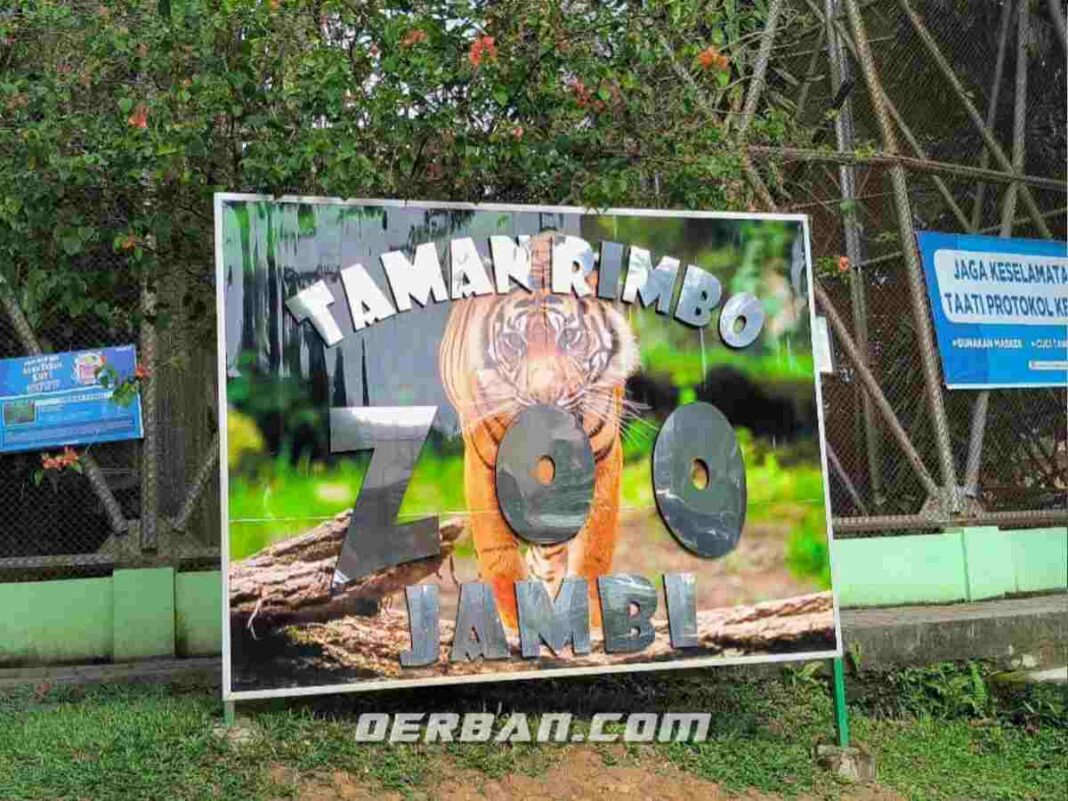 Taman Rimba Jambi: Oase Edukasi di Tengah Kota