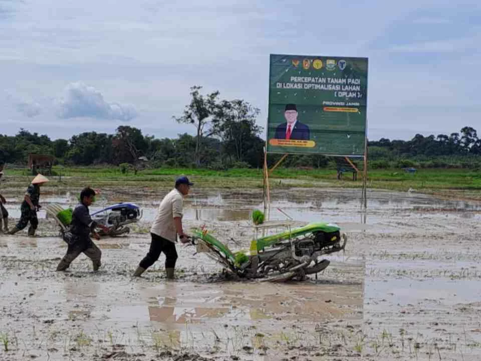 Wujudkan Swasembada Pangan, Wamentan Motivasi Brigade Pangan Provinsi Jambi