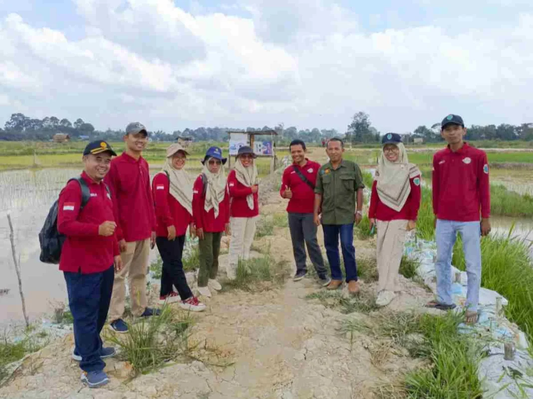 Prospek Menjanjikan, Brigade Pangan Semangat Dukung Pemerintah Wujudkan Swasembada Pangan