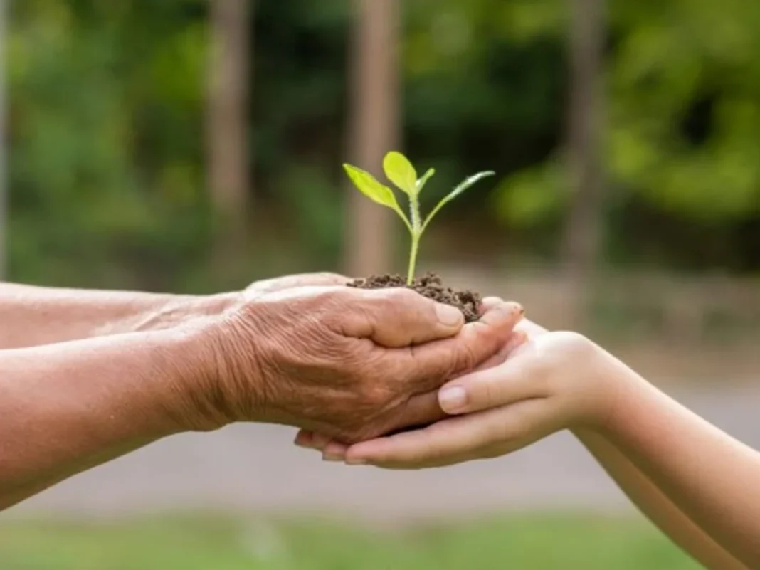 Revitalisasi Wakaf Produktif Berbasis Skill-Matching: Solusi Syariah Atasi Pengangguran Struktural di Kalangan Gen Z