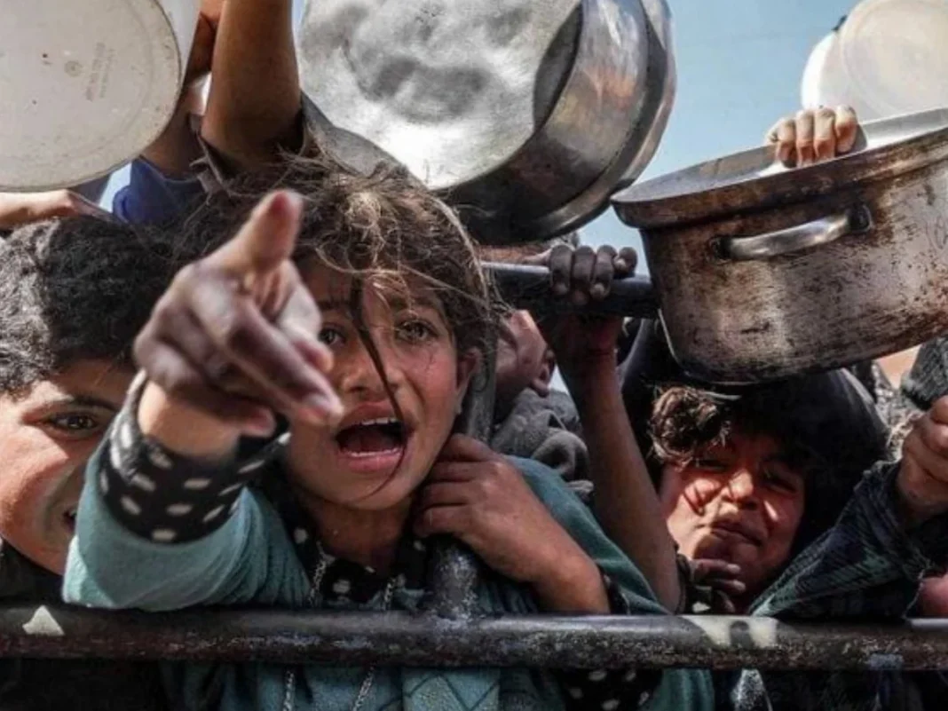 Kelaparan di Gaza: Tragedi Kemanusiaan yang Disengaja
