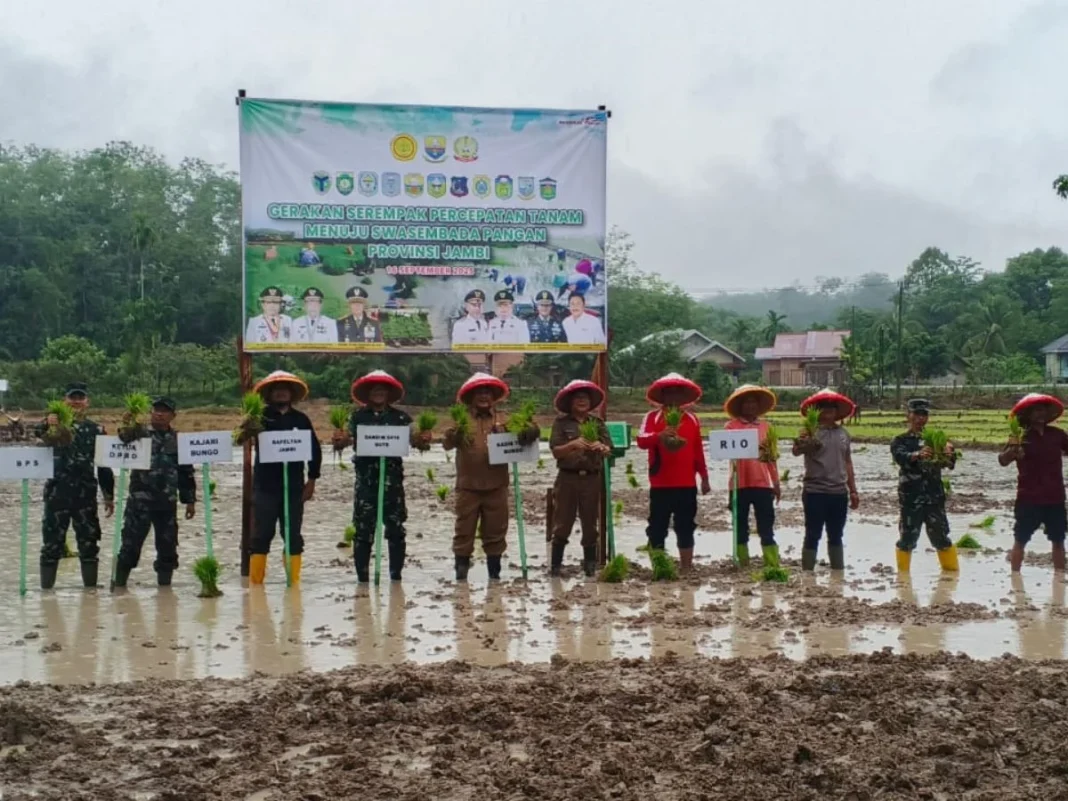 Percepatan Tanam di Bungo, 57 Hektar Sawah Digarap Serentak Menuju Swasembada Pangan