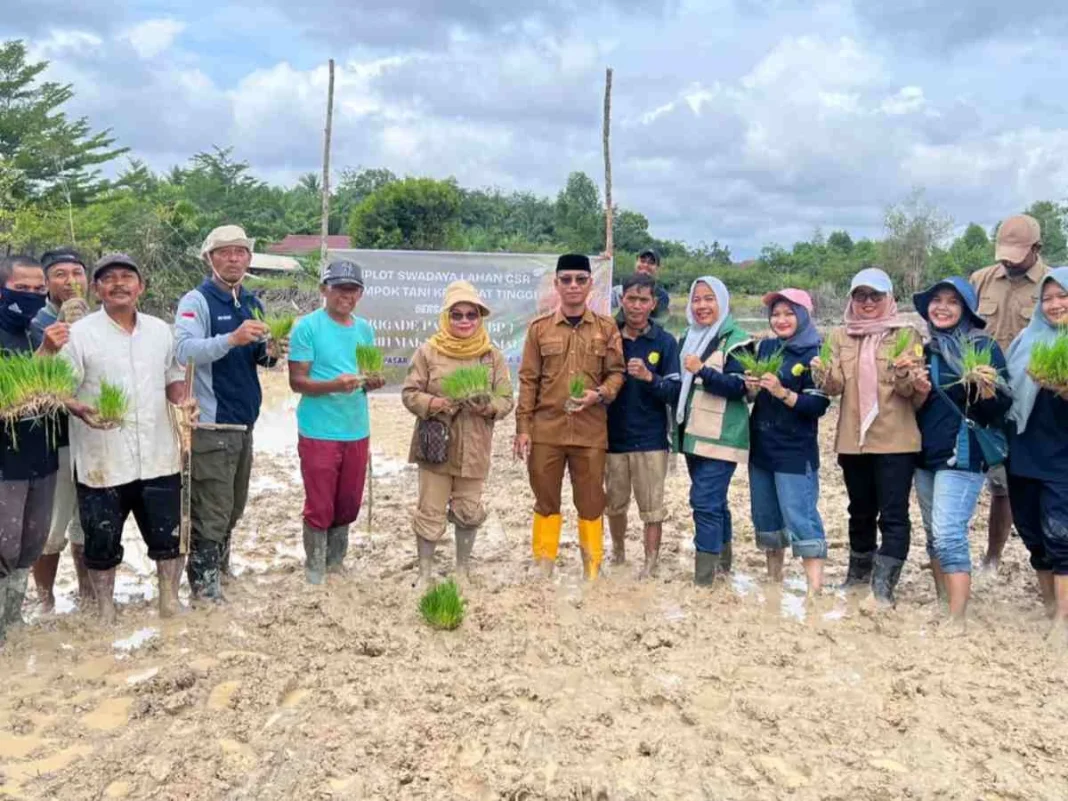 Gertam Swadaya Lahan CSR Kecamatan Muara Bulian WKKP Pasar Baru