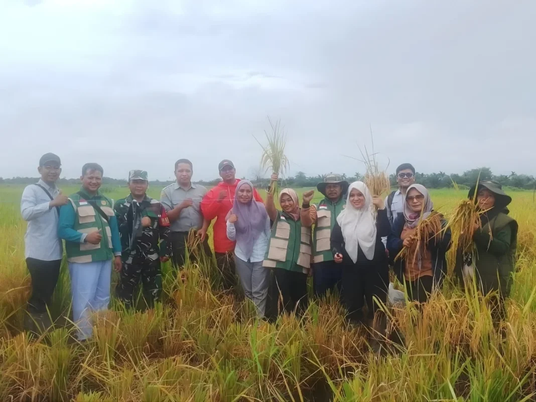 Brigade Pangan Betara Bersama Kibarkan Semangat Swasembada lewat Panen Raya di Muntialo