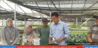 Jambi Berswara Vol. 26 Angkat Urban Farming, Bapeltan Jambi Tampilkan Praktik Hidroponik di P4S Adipura Jambi Berswara Vol. 26 Angkat Urban Farming, Bapeltan Jambi Tampilkan Praktik Hidroponik di P4S Adipura